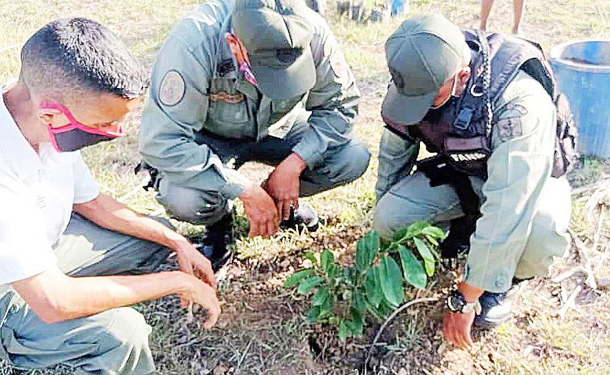 Unión Cívico-Militar realiza arborización en población socorreña