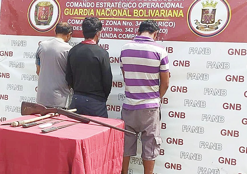 GNB desarticuló grupo delictivo dedicado al abigeato