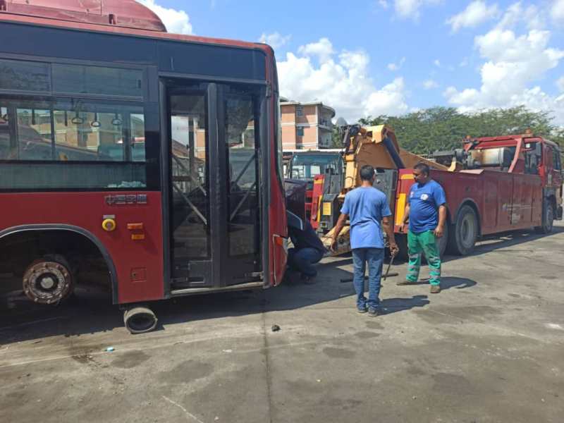 Bus Guárico inició trabajos para la recuperación de yutones