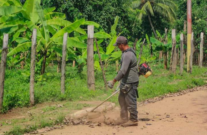 Desarrollan jornada de limpieza y desmalezamiento de espacios públicos en Guaribe