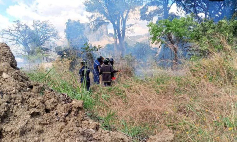 Sofocado incendio forestal 